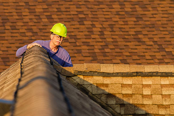 Best Roof Gutter Cleaning  in Mitchell, SD